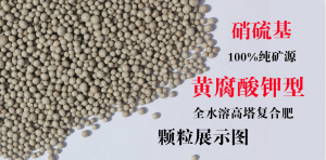 黃腐酸鉀復合肥的作用有哪些，農(nóng)富天下小編為你科普一下！